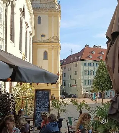 Apartment Flat Under The Castle